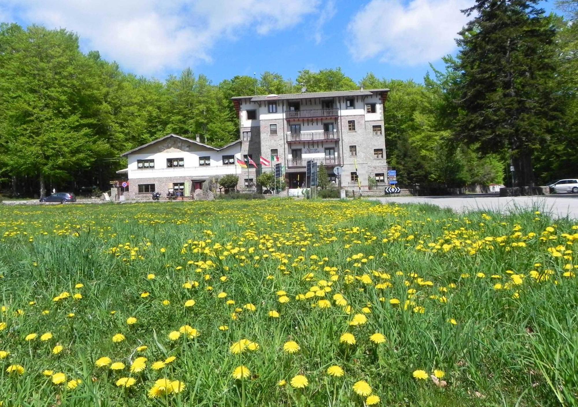 Albergo Le Macinaie - Monte Amiata Castel del Piano  Eksteriør billede