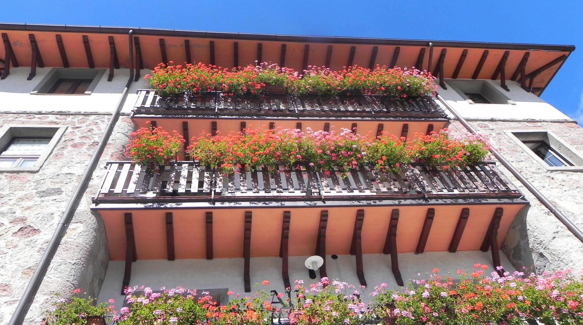 Albergo Le Macinaie - Monte Amiata Castel del Piano  Eksteriør billede