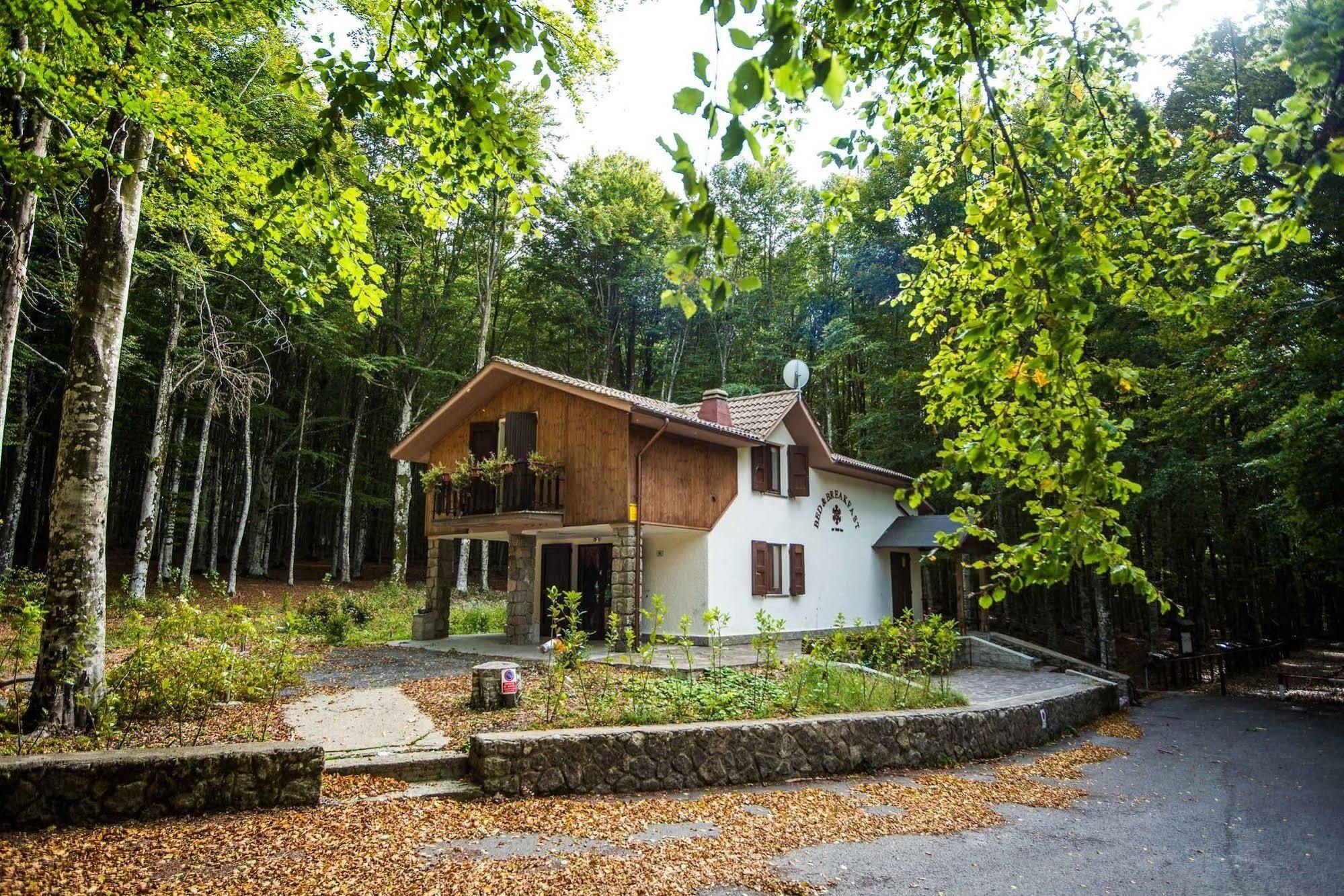 Albergo Le Macinaie - Monte Amiata Castel del Piano  Eksteriør billede